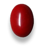 red coral